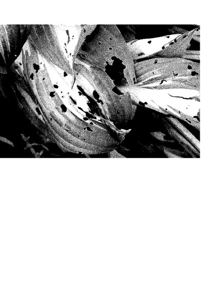 Fax from +442*****671