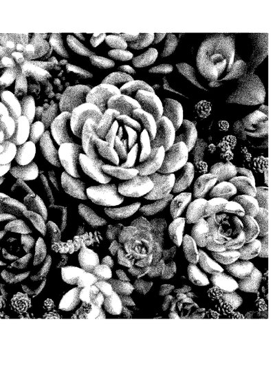 Fax from +442*****671