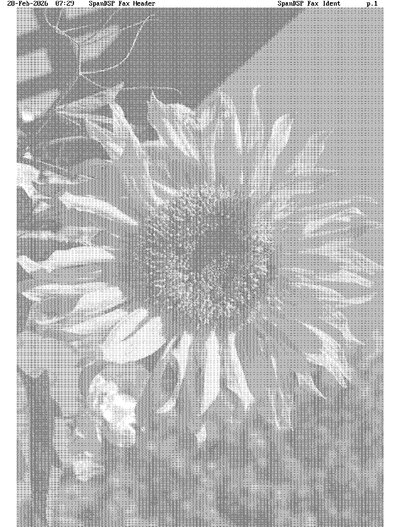 Fax from SpanDSPFaxIdent