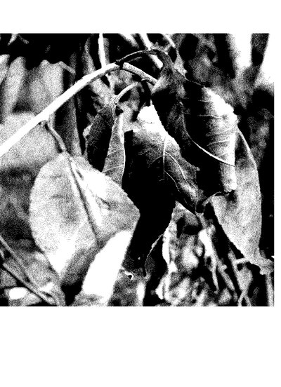 Fax from +171*****849