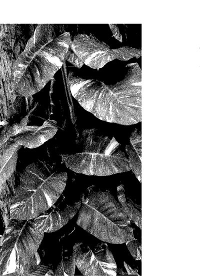 Fax from +171*****849