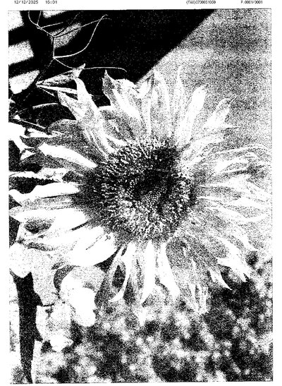 Fax from +617*****059