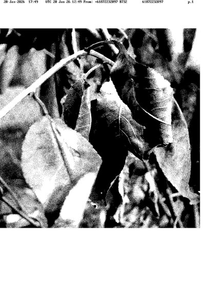 Fax from +618*****097