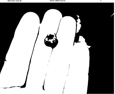 Fax from +706*****59