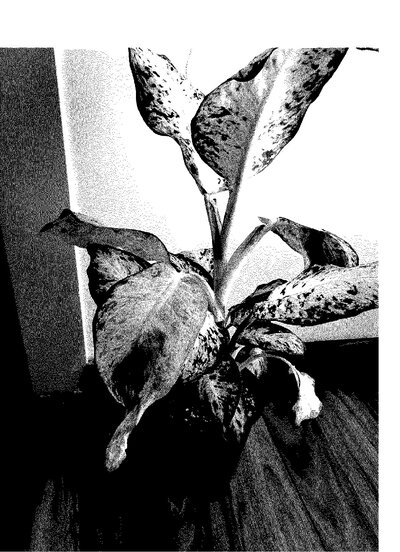 Fax from +171*****849