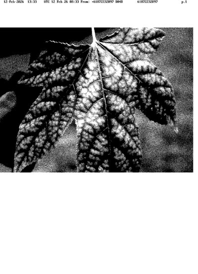 Fax from +618*****097