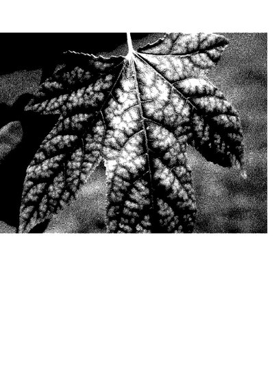 Fax from +171*****849