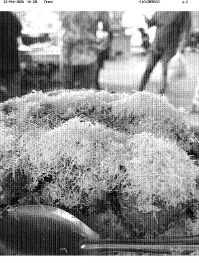 Fax from +166*****873