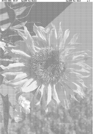 Fax from SpanDSPFaxIdent