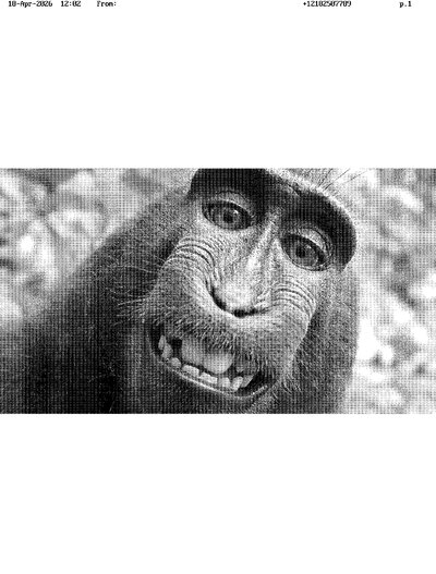 Fax from +121*****789