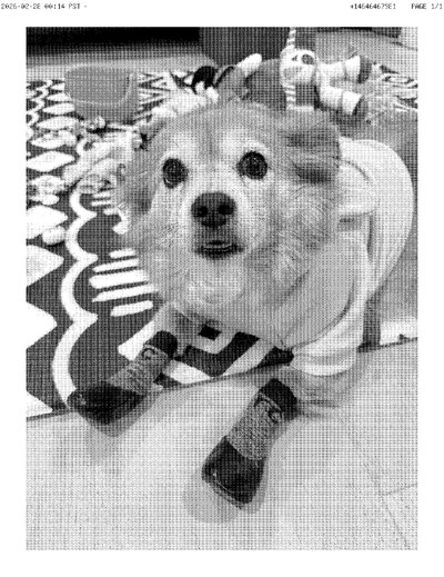 Fax from +146*****981