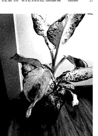 Fax from +618*****097